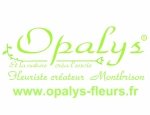 OPALYS