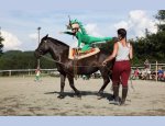 Photo L'ILE VERTE FERME EQUESTRE