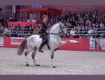 Photo FÉDÉRATION DE DRESSAGE ARTISTIQUE