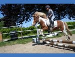 Photo CENTRE EQUESTRE LA PALOMBE