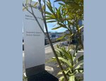 Photo ALLIANZ BUSCHINO ADRIEN AGENT GENERAL