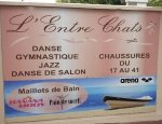 Photo L'ENTRE CHATS