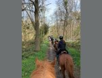 Photo ECURIES DU PONEY D'OR