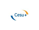 AIDE AUX SOINS  À DOMICILE CESU