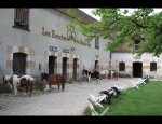 Photo LES ECURIES DE SAINT-CYR - GÎTE 70 PLACES ET CENTRE ÉQUESTRE