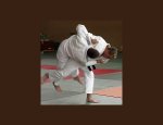 Photo JUDO CLUB CHABEUIL