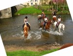 FERME EQUESTRE HIPPOCAMP'