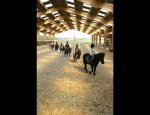 Photo CENTRE EQUESTRE PONEY CLUB L'OXER