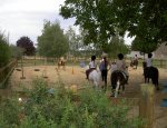 Photo CENTRE EQUESTRE PONEY CLUB L'OXER