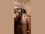 Photo DOMAINE SAUMAIZE-MICHELIN