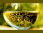 Photo DOMAINE SAUMAIZE-MICHELIN