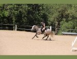 Photo CAVALIERS DU DOMAINE EQUESTRE DE SAINT PAUL