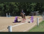 Photo CAVALIERS DU DOMAINE EQUESTRE DE SAINT PAUL
