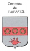 45033