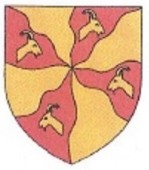 45251