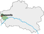 45081